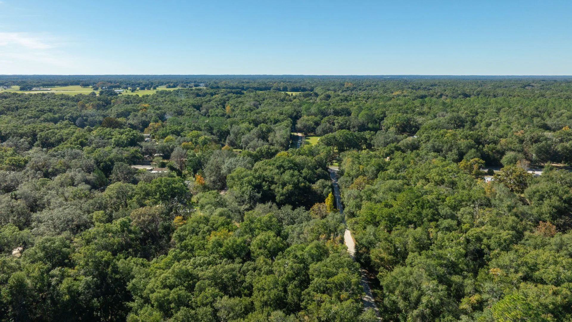0.38 Acre Citra FL Property – Proximity to Gainesville and US-301 for Easy Access in Marion County, FL
