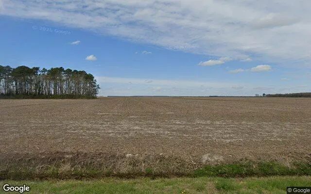 41.83 Acres in Scranton - Hyde County, NC in Hyde County, North Carolina