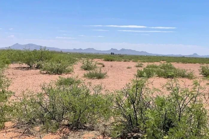 0.49 Acres for Sale in Douglas, Arizona in Cochise County, Arizona