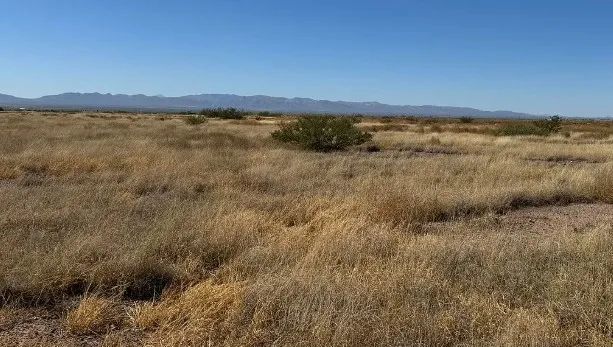 0.29 Acres for Sale in Douglas, Arizona in Cochise County, Arizona