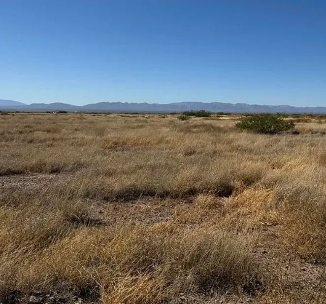 0.29 Acres for Sale in Douglas, Arizona in Cochise County, Arizona