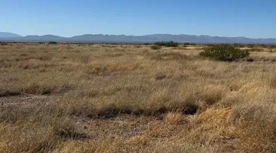 0.29 Acres for Sale in Douglas, Arizona in Cochise County, Arizona
