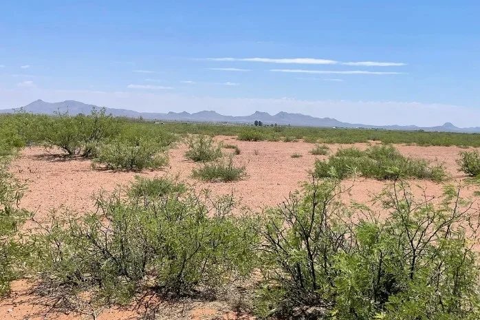 0.98 Acres for Sale in Douglas, Arizona in Cochise County, AZ