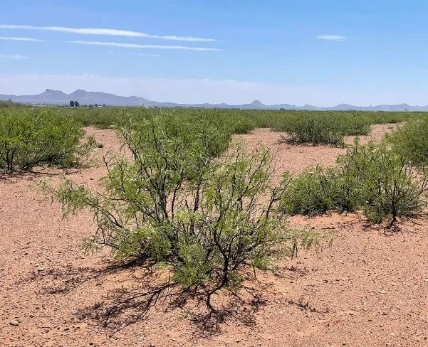 0.98 Acres for Sale in Douglas, Arizona in Cochise County, AZ