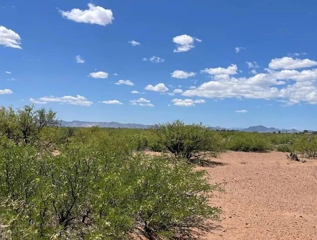 0.49 Acres for Sale in Douglas, Arizona in Cochise County, Arizona