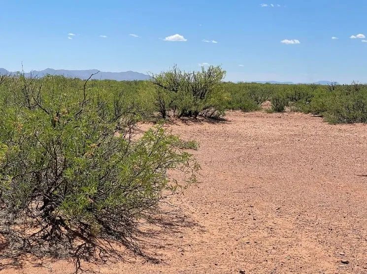0.49 Acres for Sale in Douglas, Arizona in Cochise County, Arizona