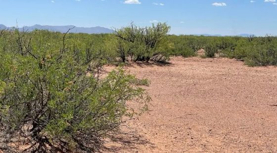 0.49 Acres for Sale in Douglas, Arizona in Cochise County, Arizona