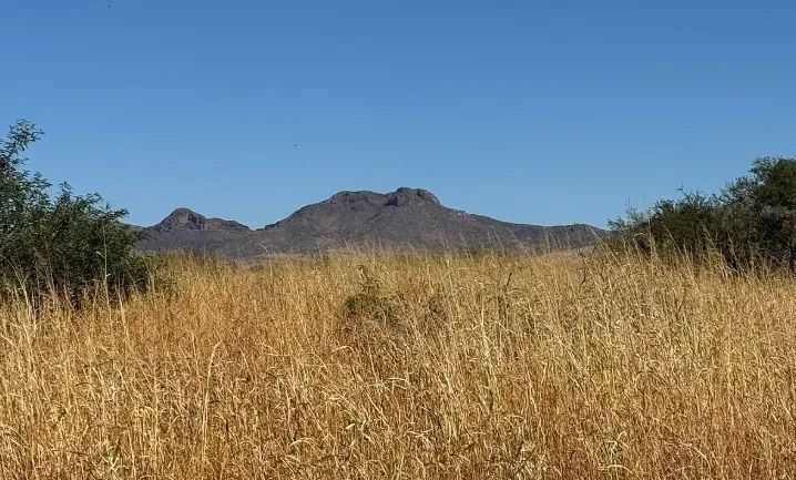 0.34 Acres for Sale in Douglas, Arizona in Cochise County, Arizona