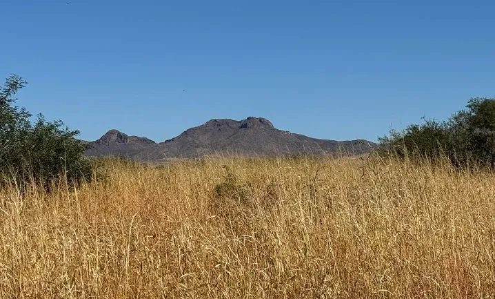 0.34 Acres for Sale in Douglas, Arizona in Cochise County, Arizona