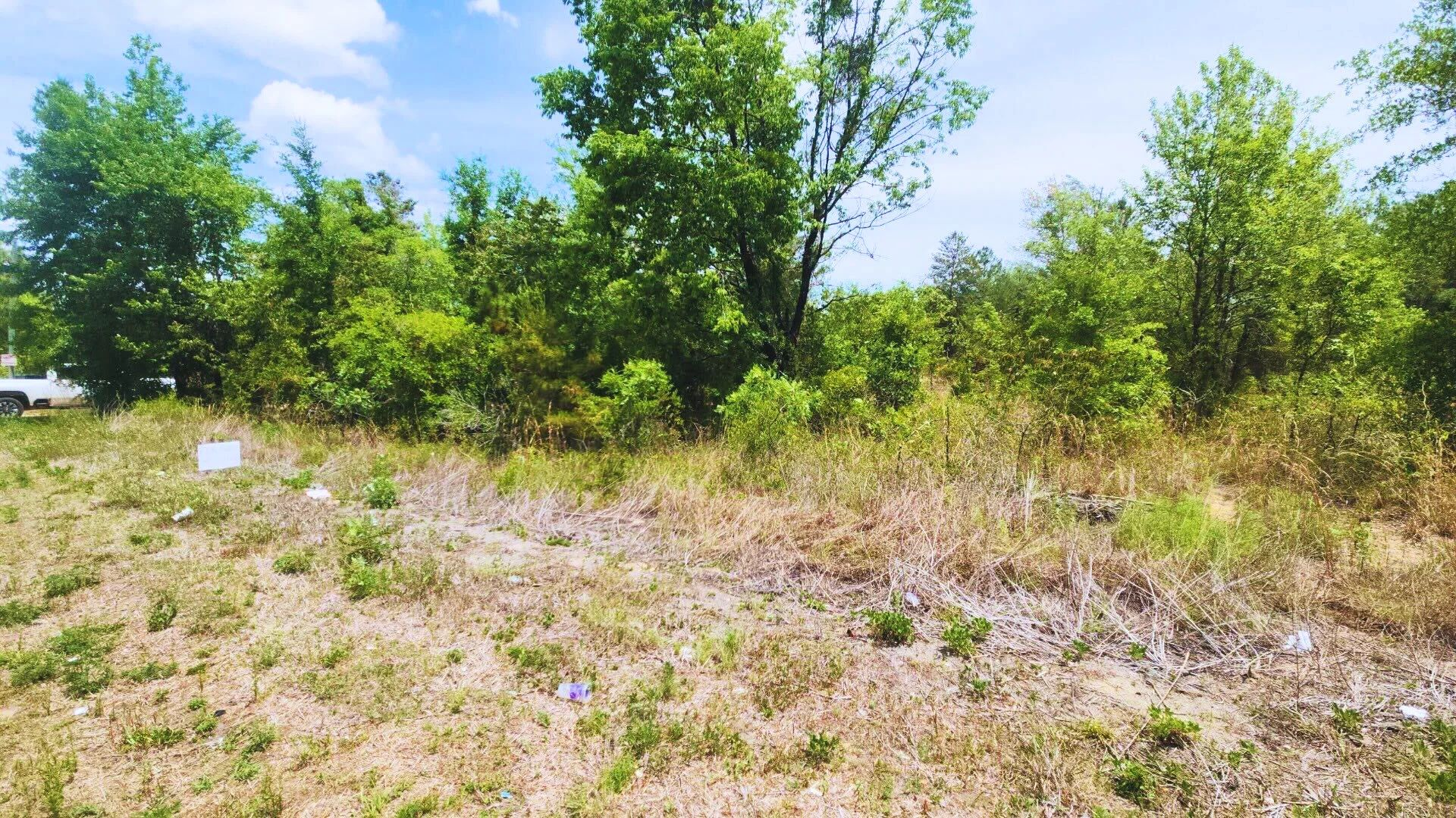 Build Near Florida's Lakes in Putnam County, FL