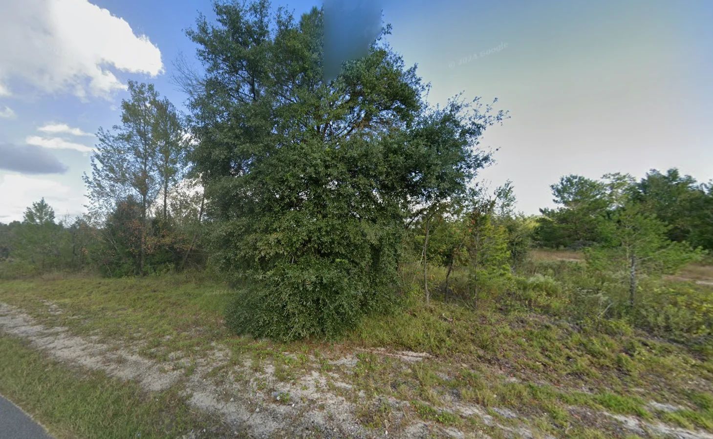 Small Down, Big FL Buildable Lot in Putnam County, FL