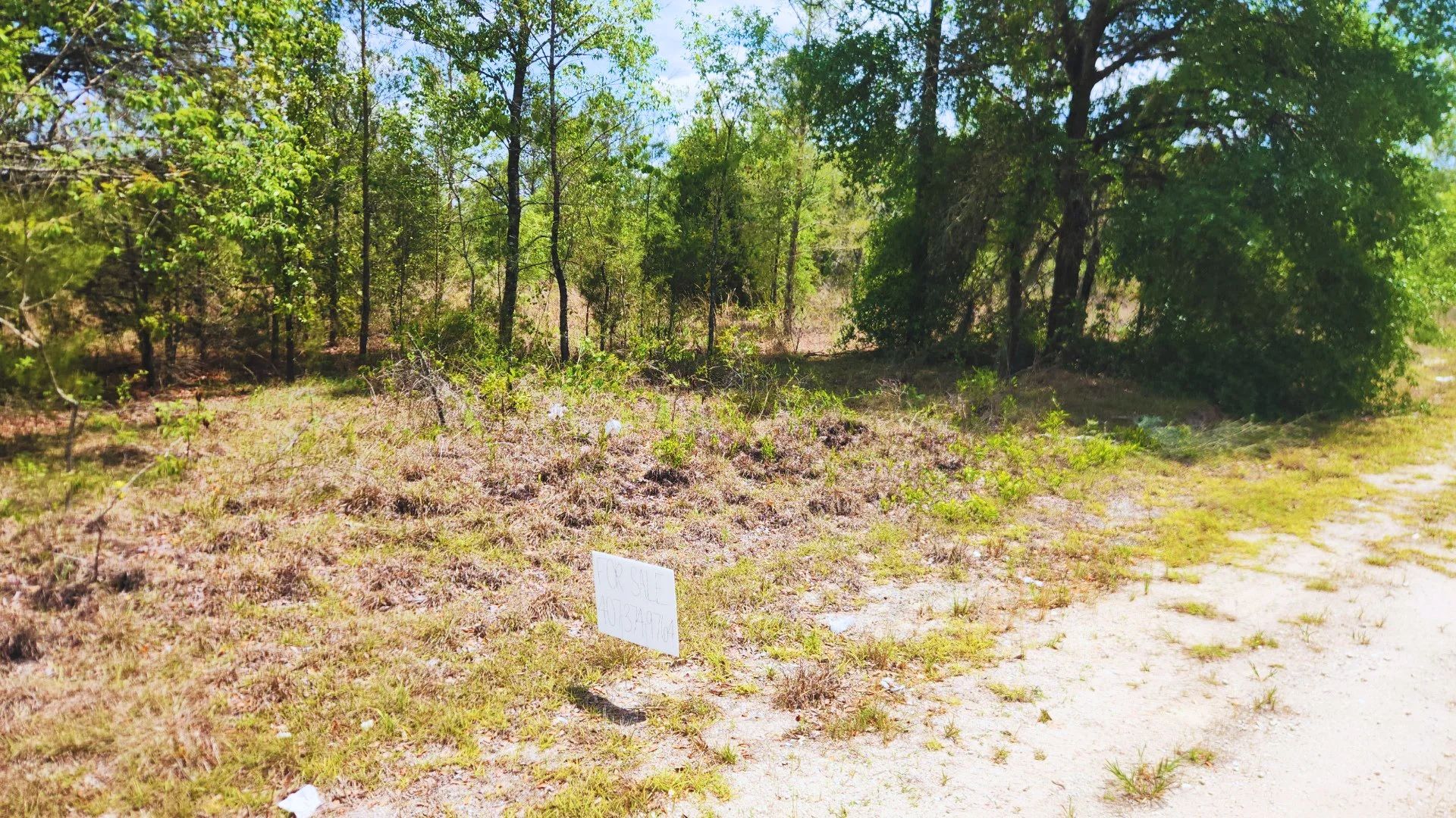 Small Down, Big FL Buildable Lot in Putnam County, FL