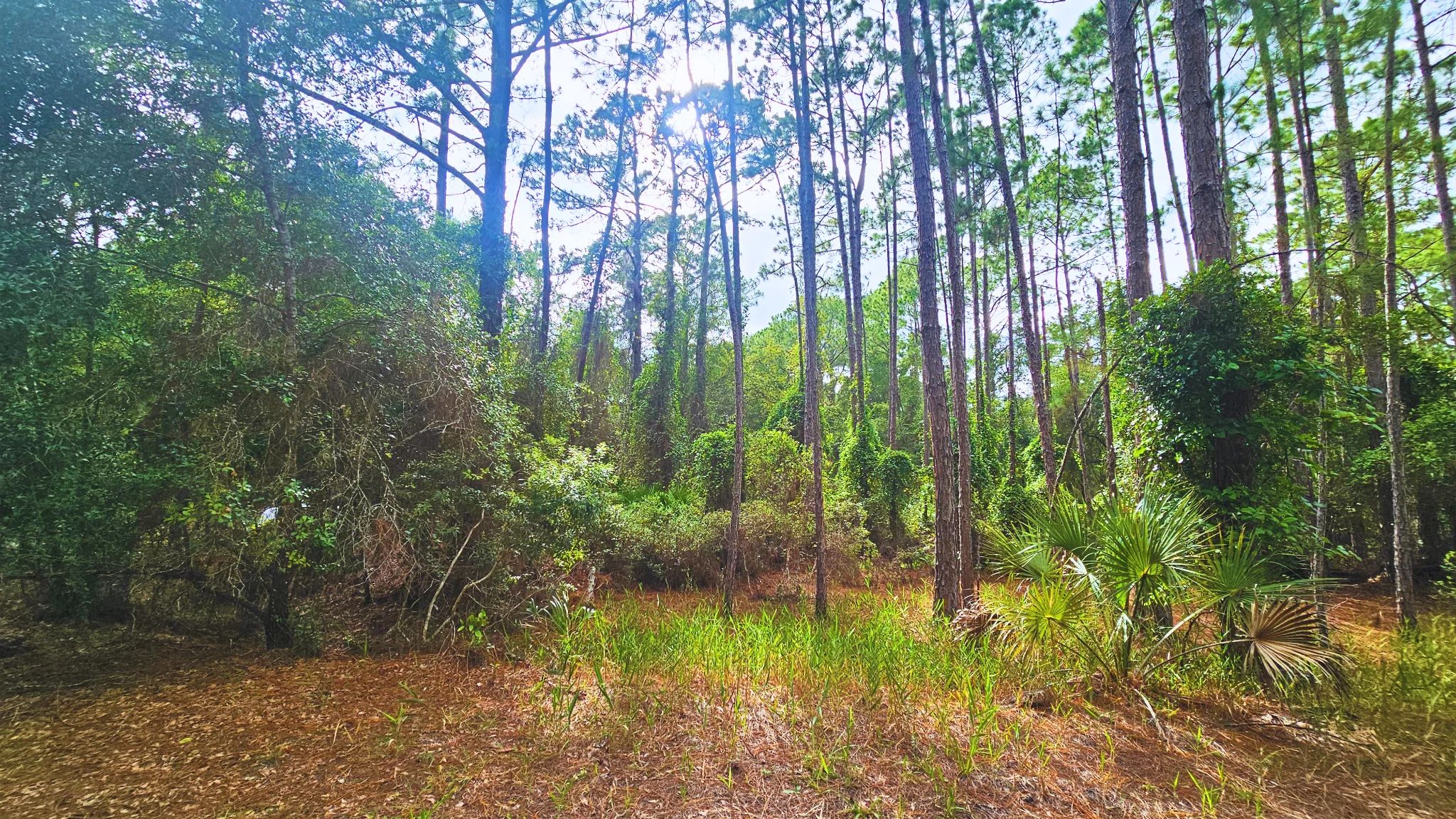 Home Sweet Home in Putnam County, FL