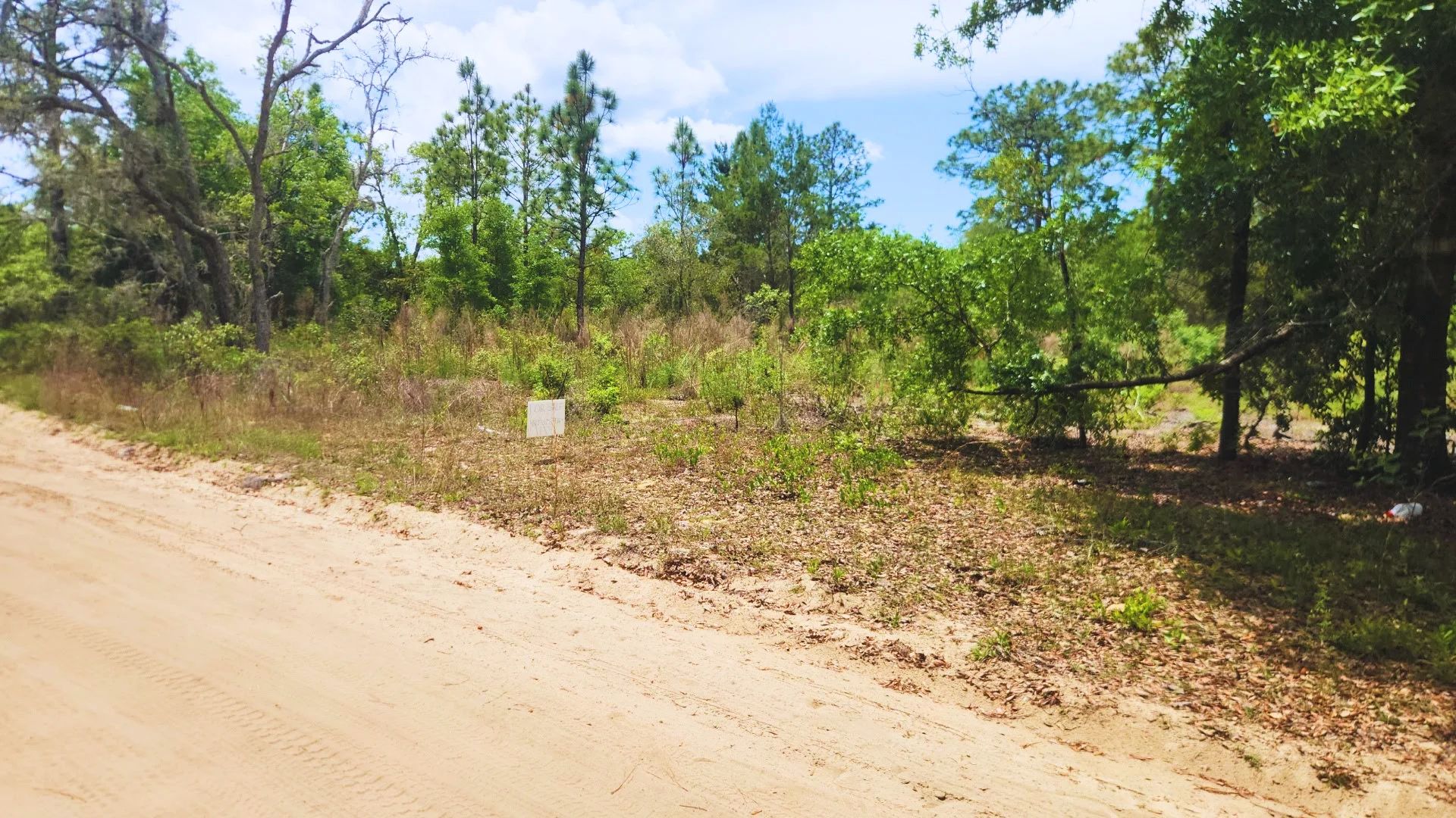 Welcome to Sunny Interlachen in Putnam County, FL