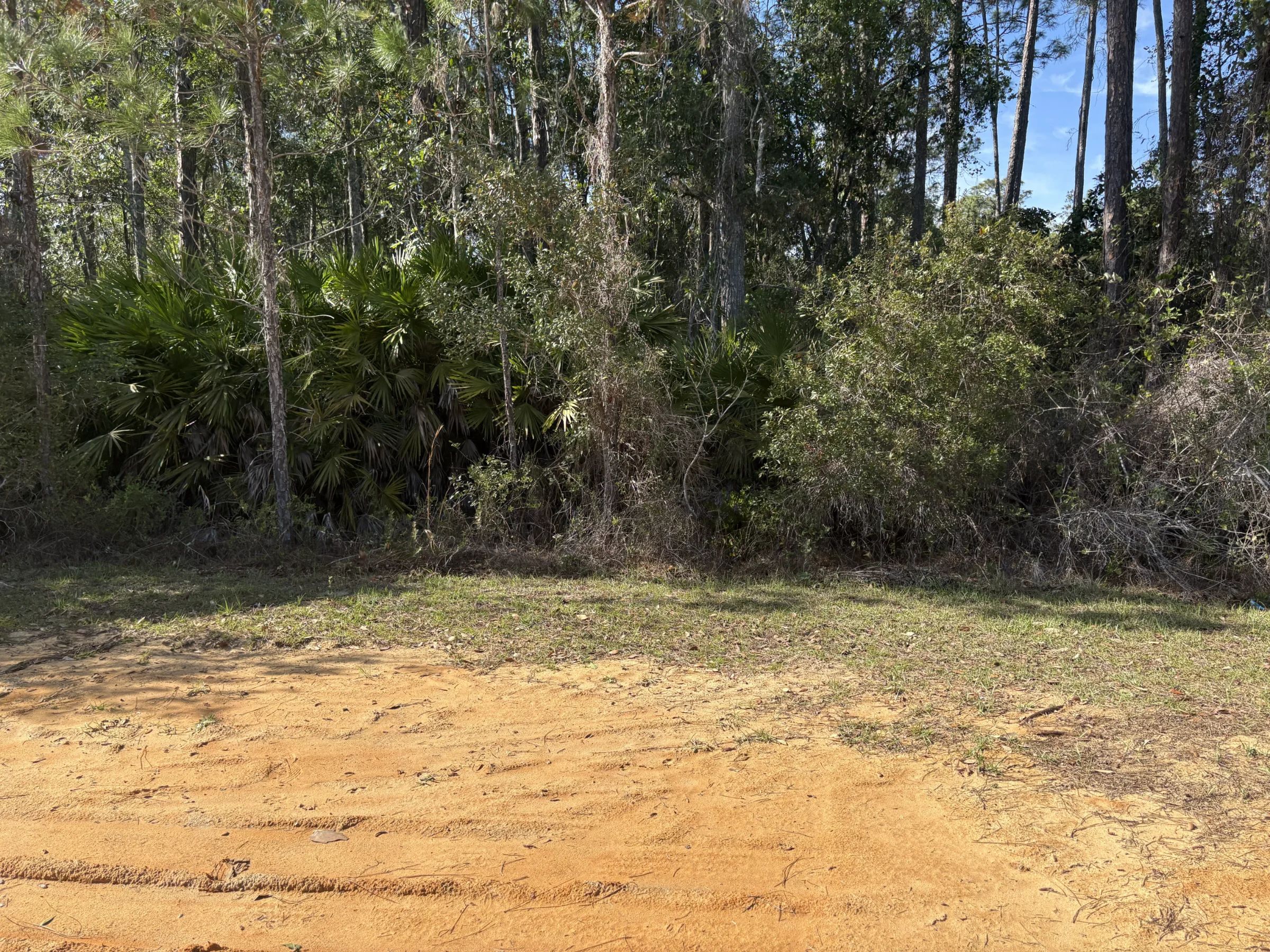 Own Florida Dirt for Cheaper than Car in Putnam County, FL