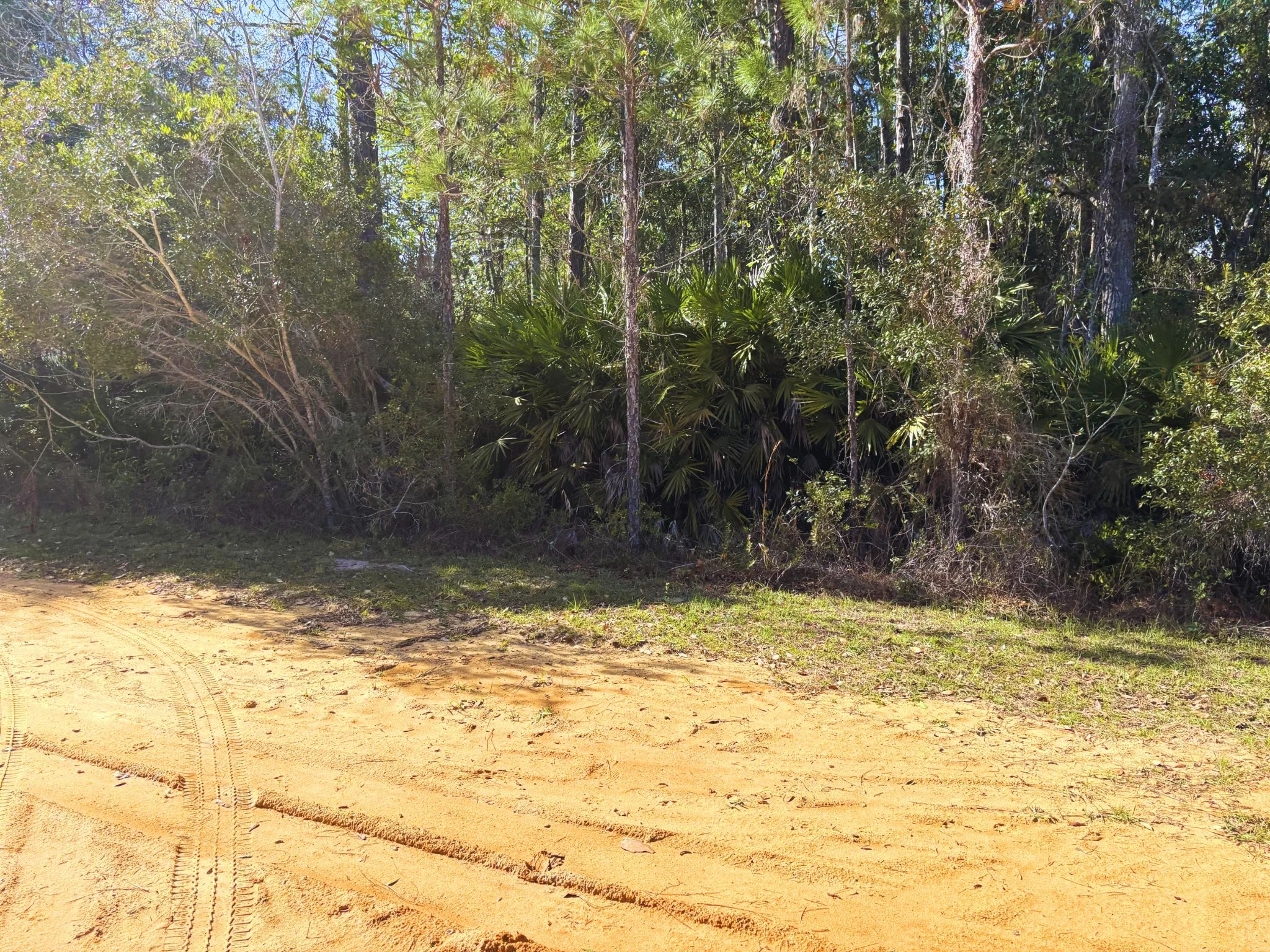 Own Florida Dirt for Cheaper than Car in Putnam County, FL