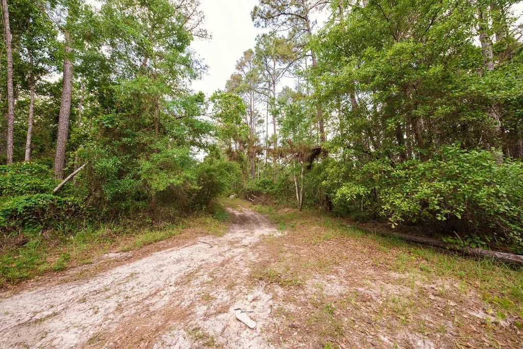 Buy .46 Acres w/o Breaking the Bank in Putnam County, FL