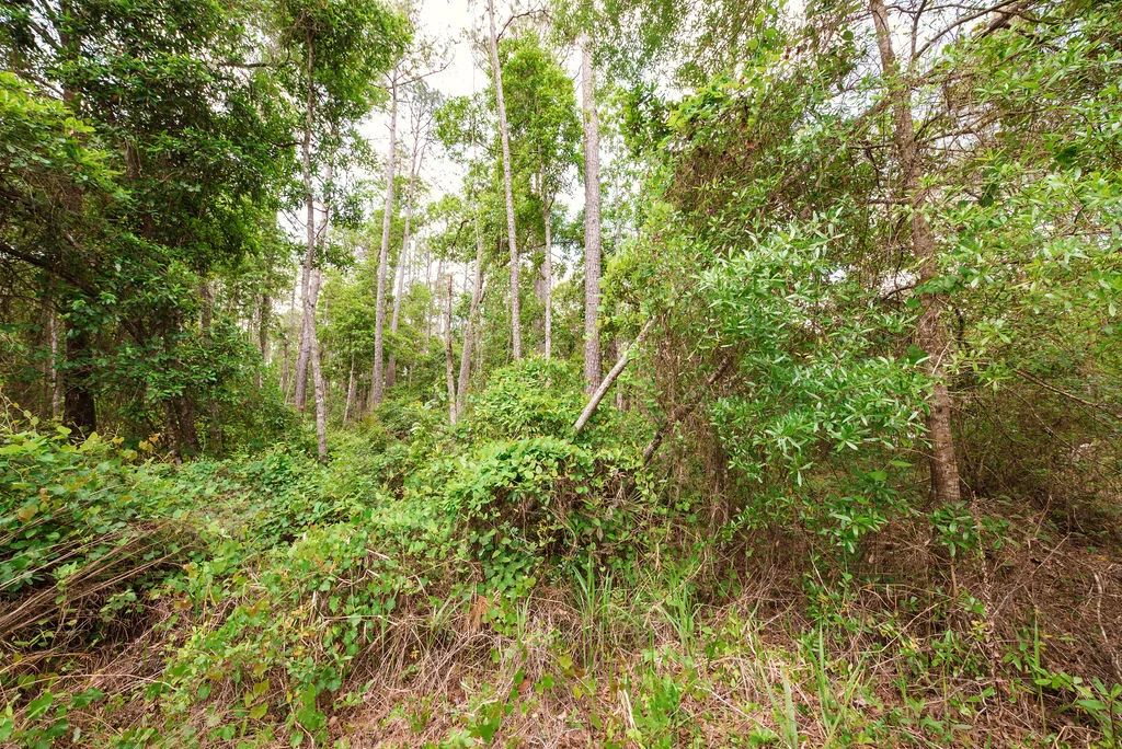 Buy .46 Acres w/o Breaking the Bank in Putnam County, FL