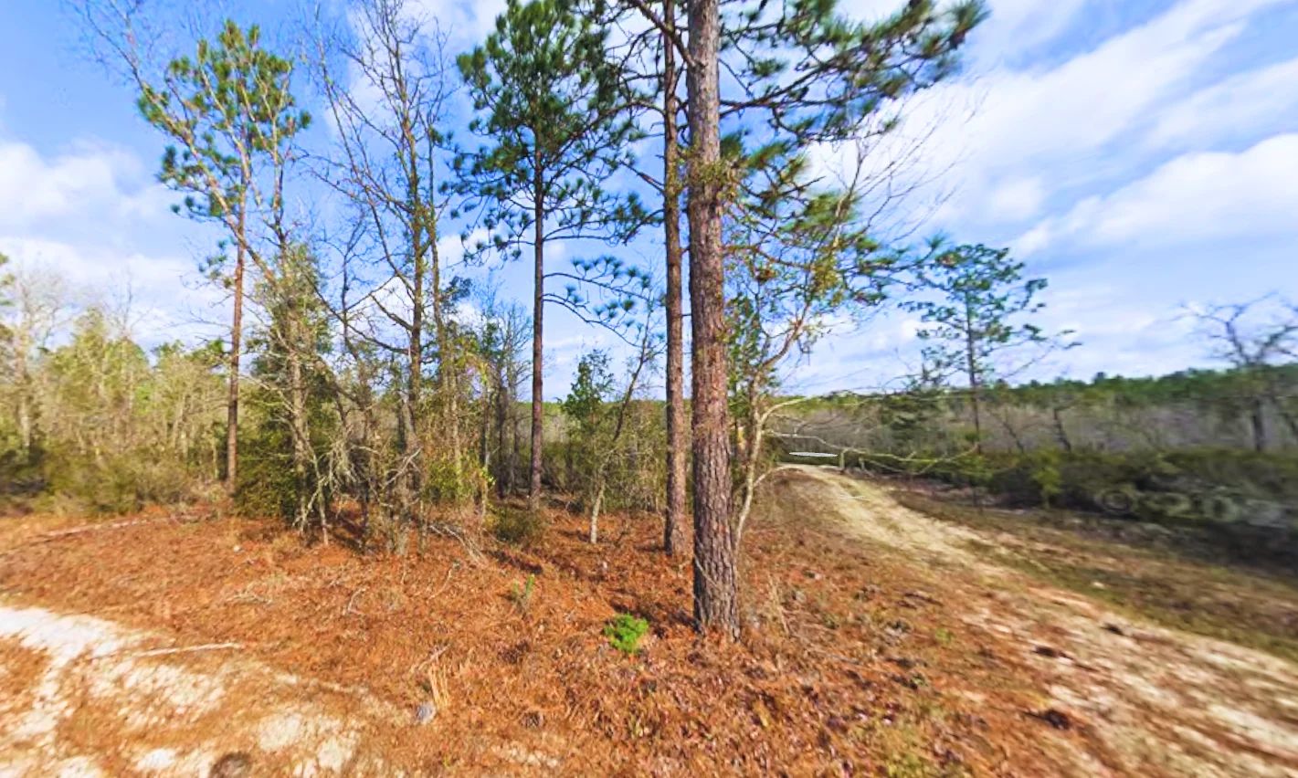 Lock in Your Florida Future $200! in Putnam County, FL