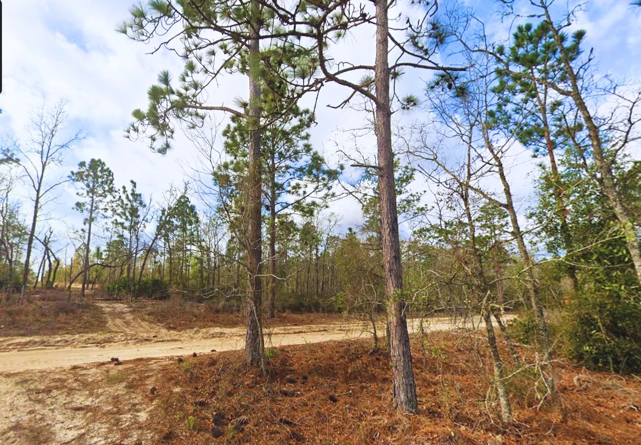 Lock in Your Florida Future $200! in Putnam County, FL