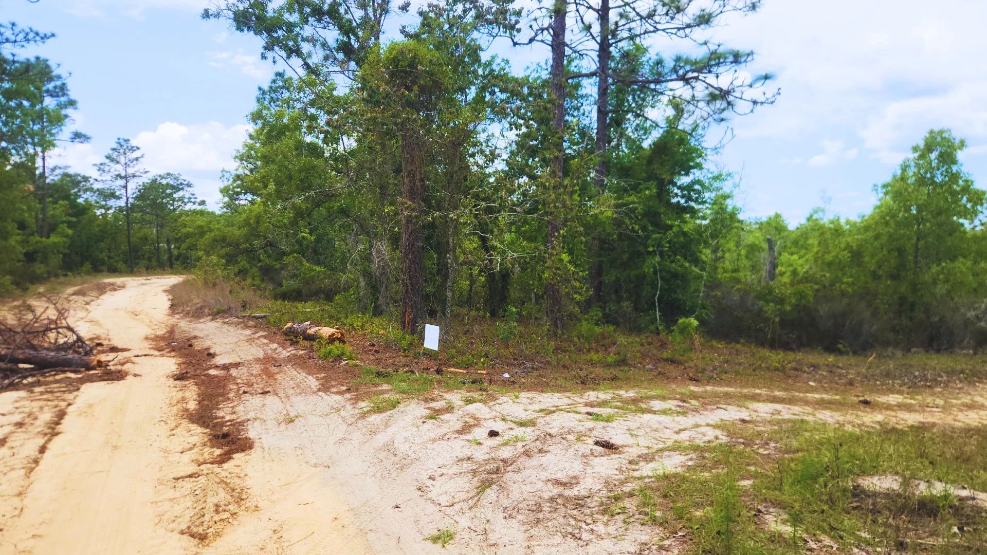 Lock in Your Florida Future $200! in Putnam County, FL