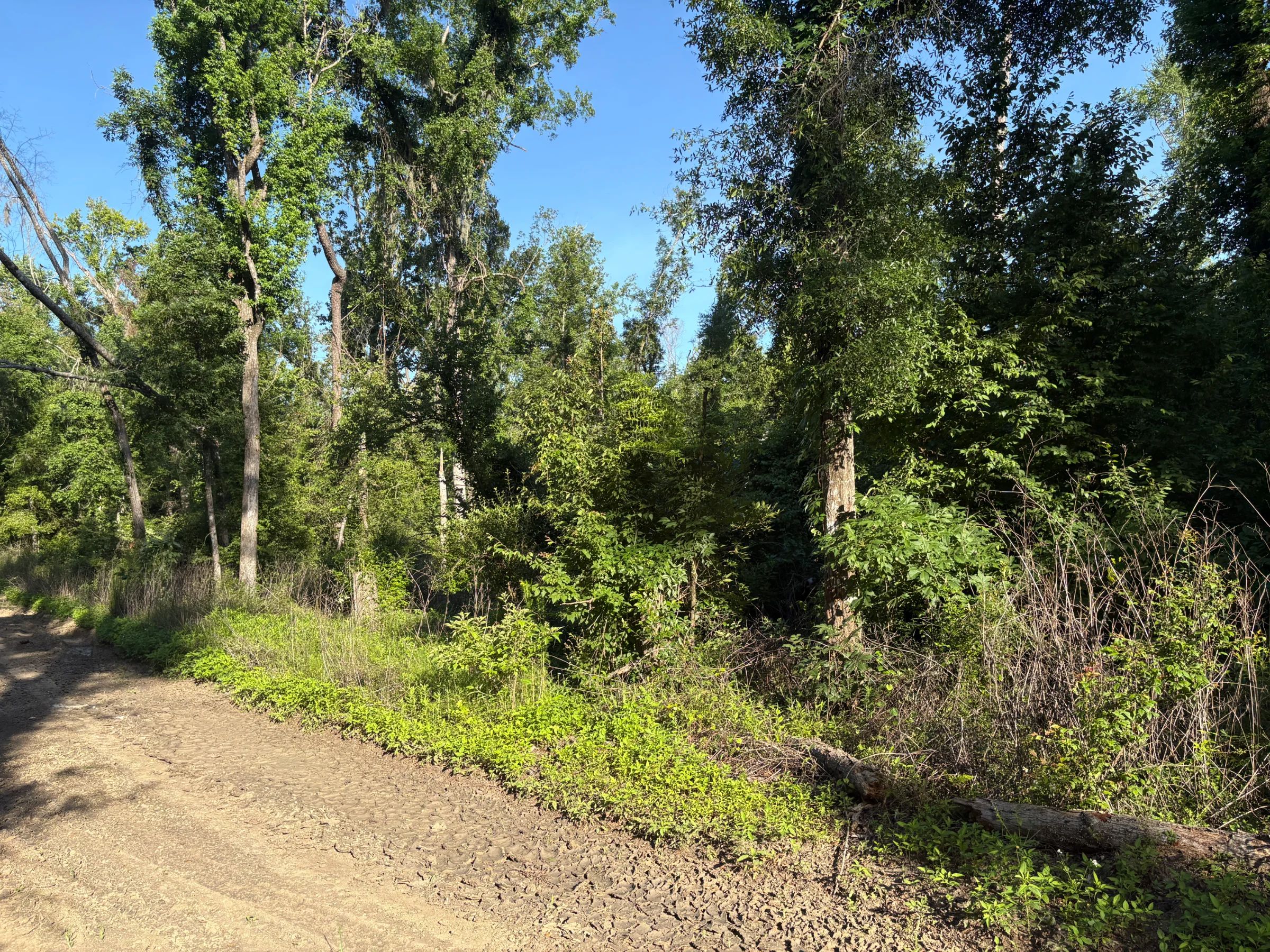 Escape the Noise and Enjoy a Simpler Florida Lifestyle in Suwannee County, FL