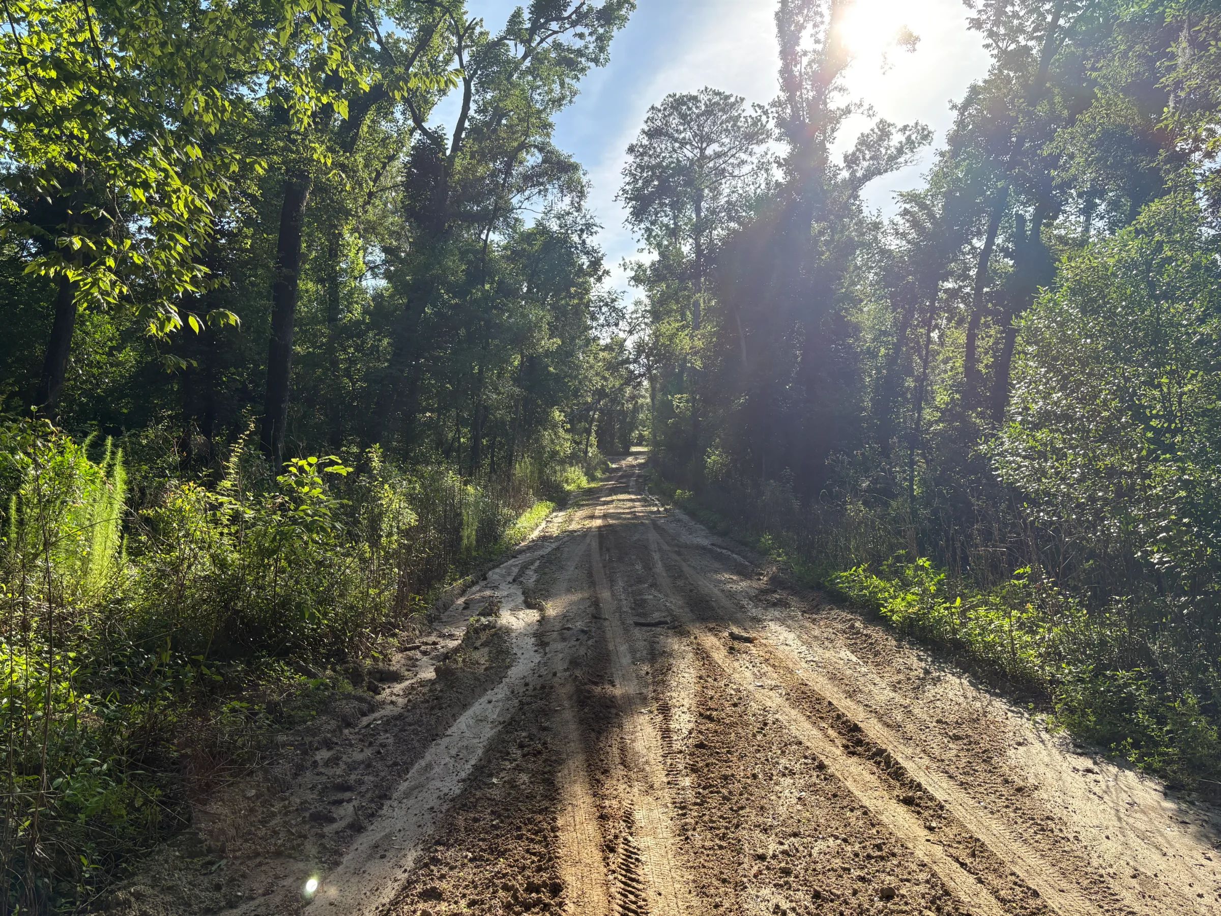 Escape the Noise and Enjoy a Simpler Florida Lifestyle in Suwannee County, FL