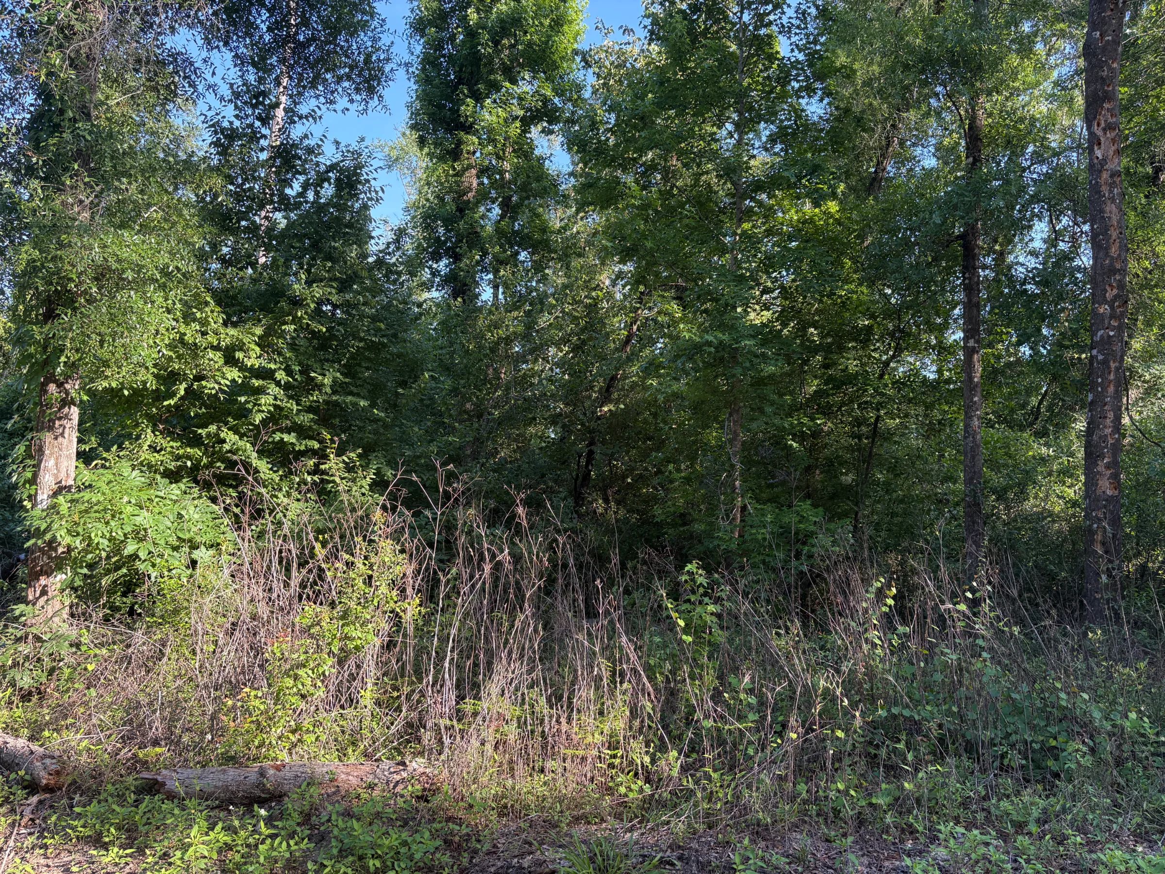 Your Family's Weekend Basecamp in North Florida in Suwannee County, FL
