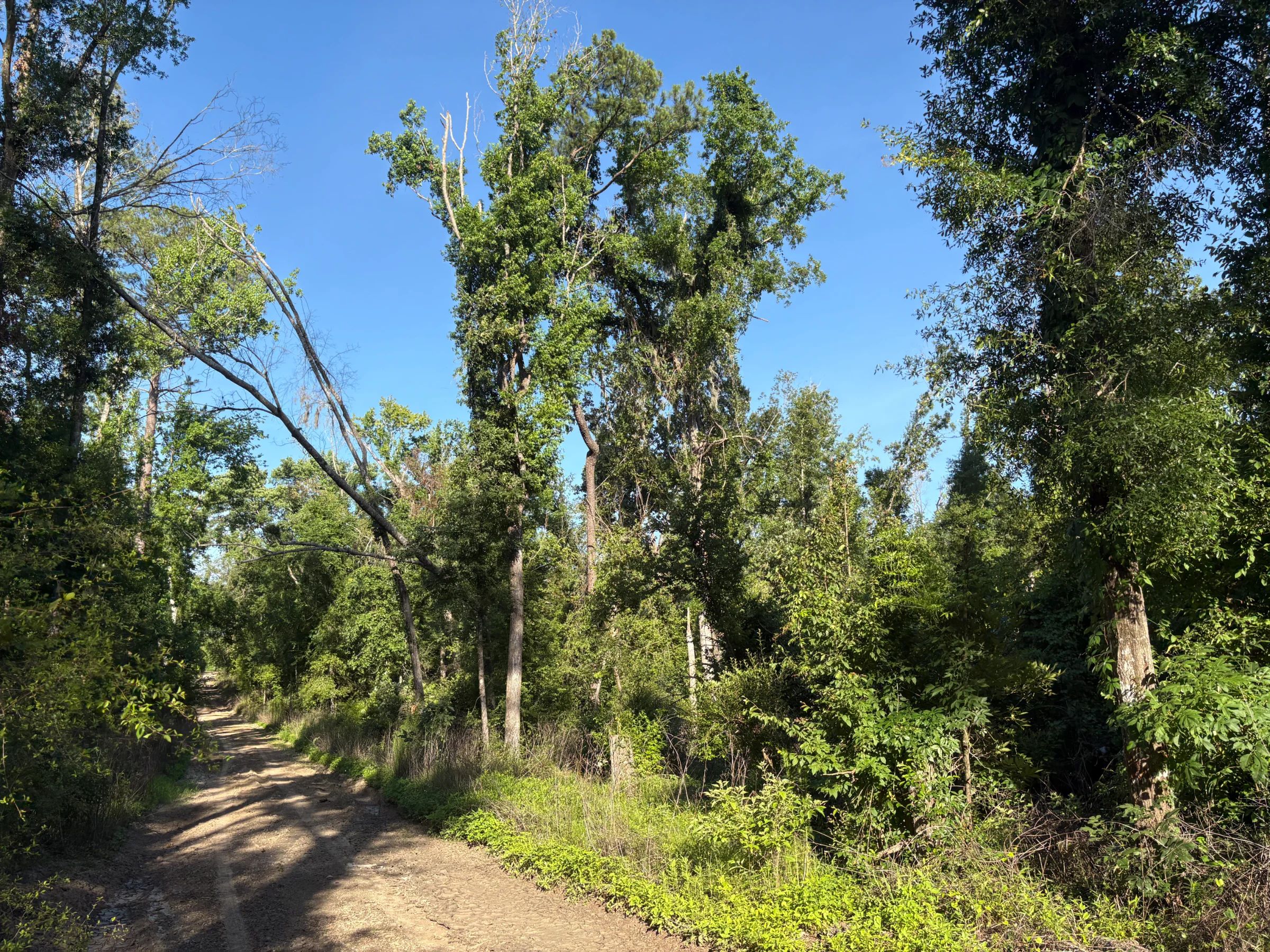 Your Family's Weekend Basecamp in North Florida in Suwannee County, FL