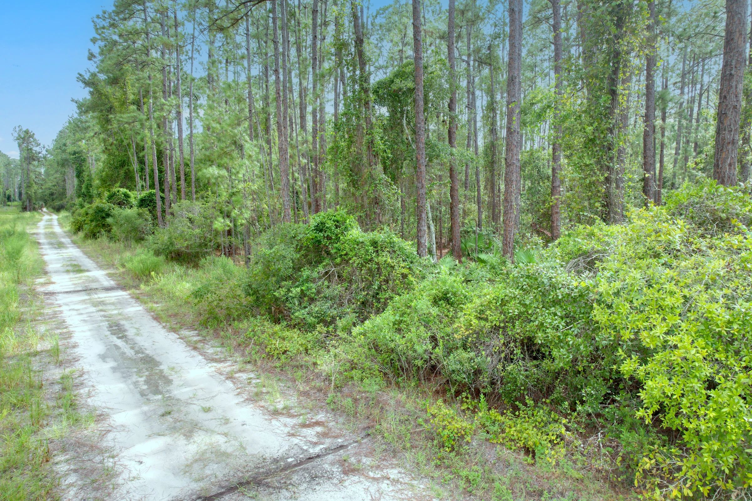 FL Land for Sale Near Lake George in Putnam County, FL