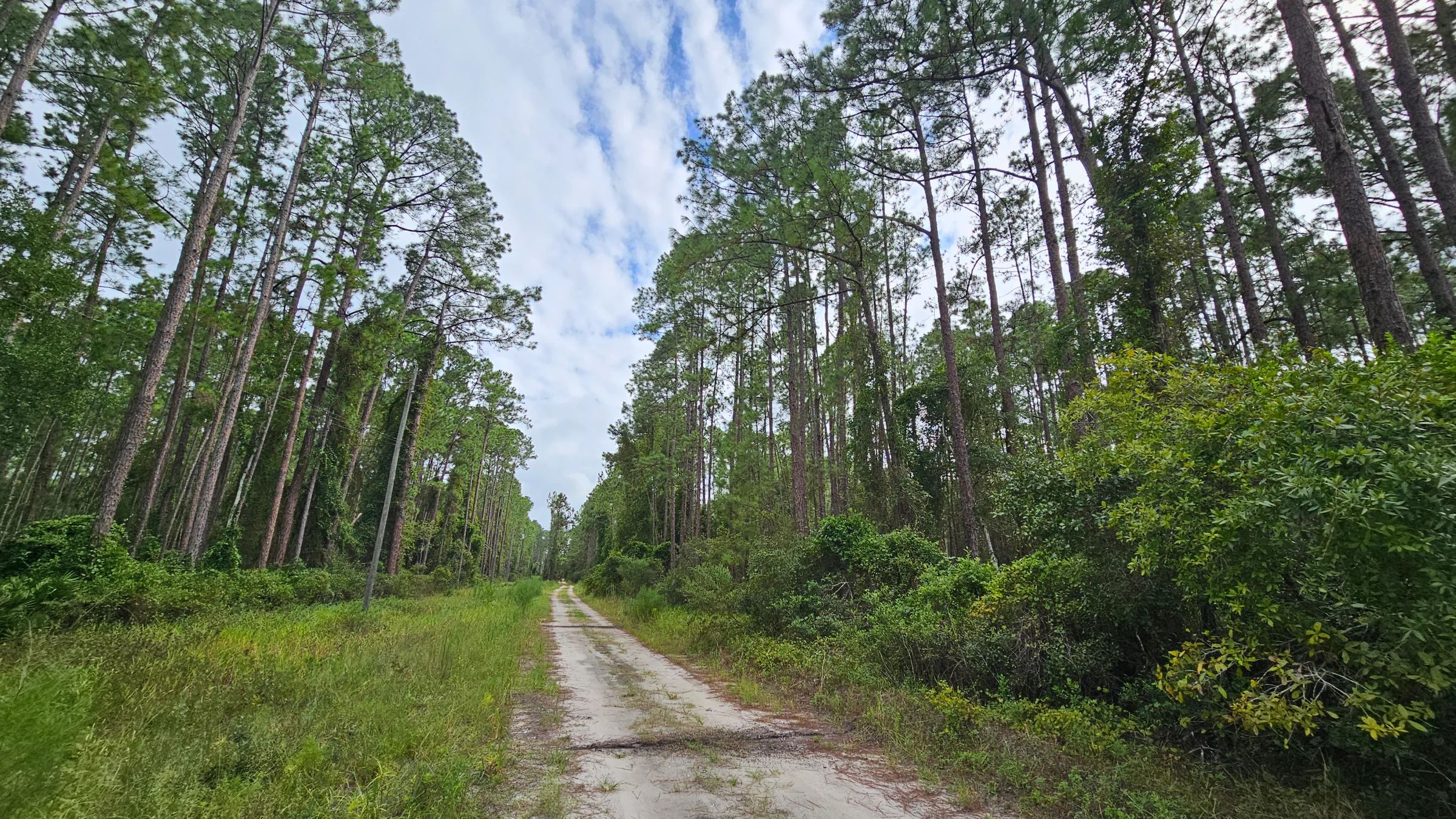 FL Land for Sale Near Lake George in Putnam County, FL
