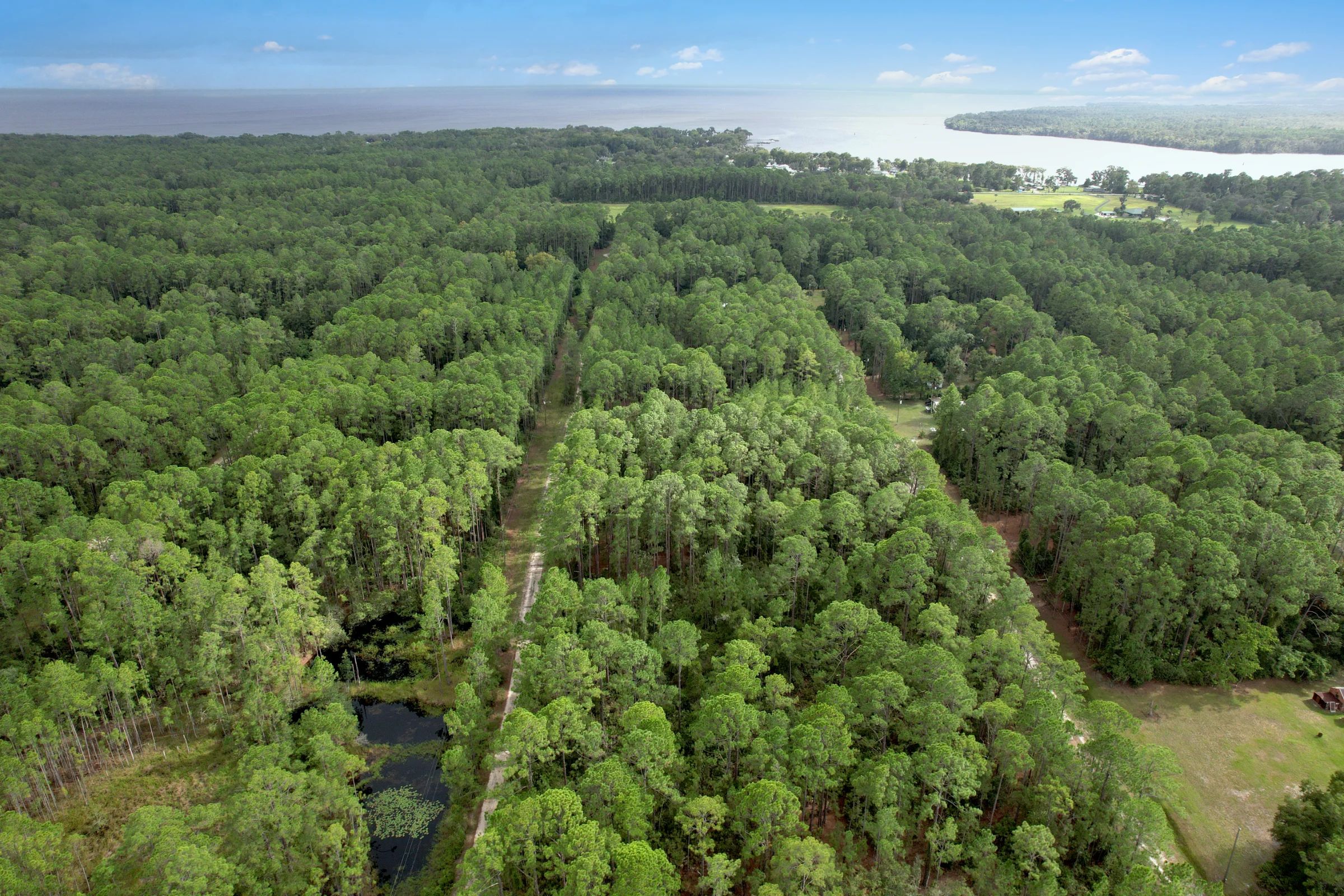 FL Land for Sale Near Lake George in Putnam County, FL