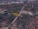 NC Wooded Lots