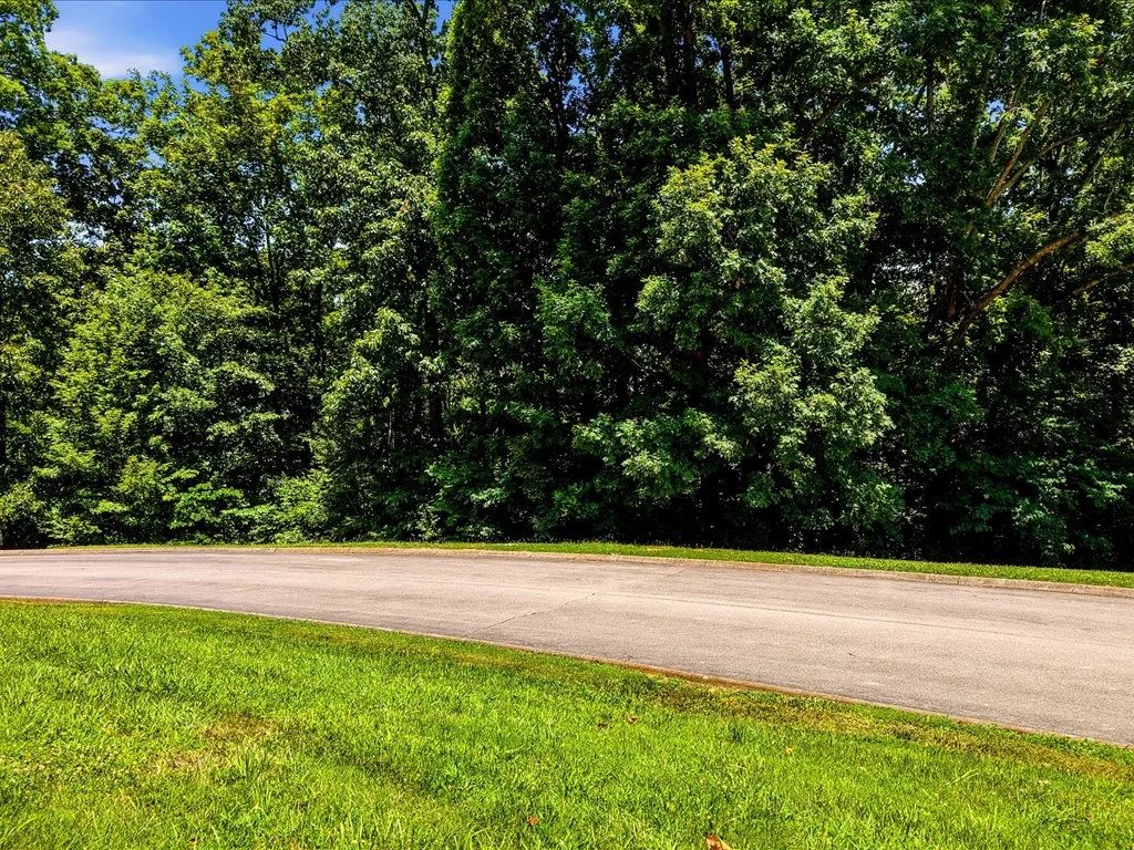 Cherokee Lake Access Lot in Hamblen County, TN