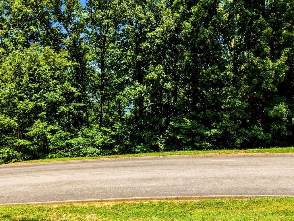 Cherokee Lake Access Lot in Hamblen County, TN