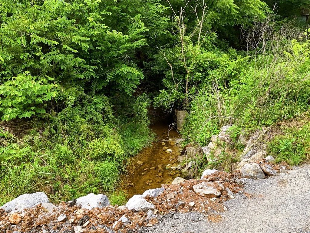 Cleared, Level, Unrestricted Lot in Cocke County, TN