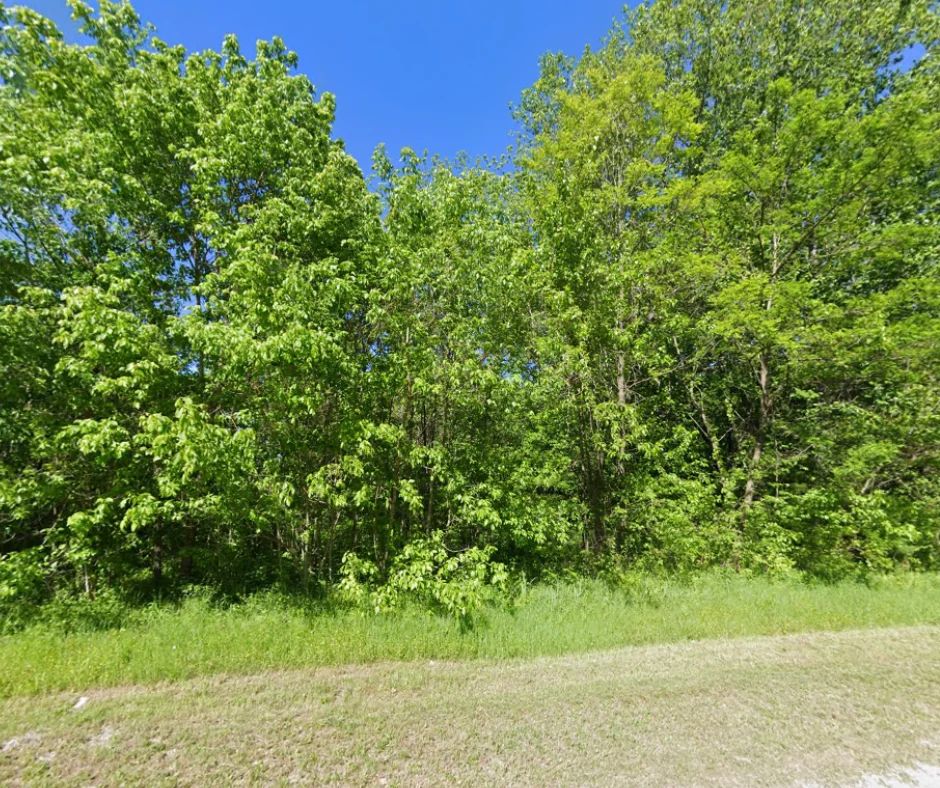 5 Peaceful Acres in Maury County | Hampshire, TN in Maury County, TN
