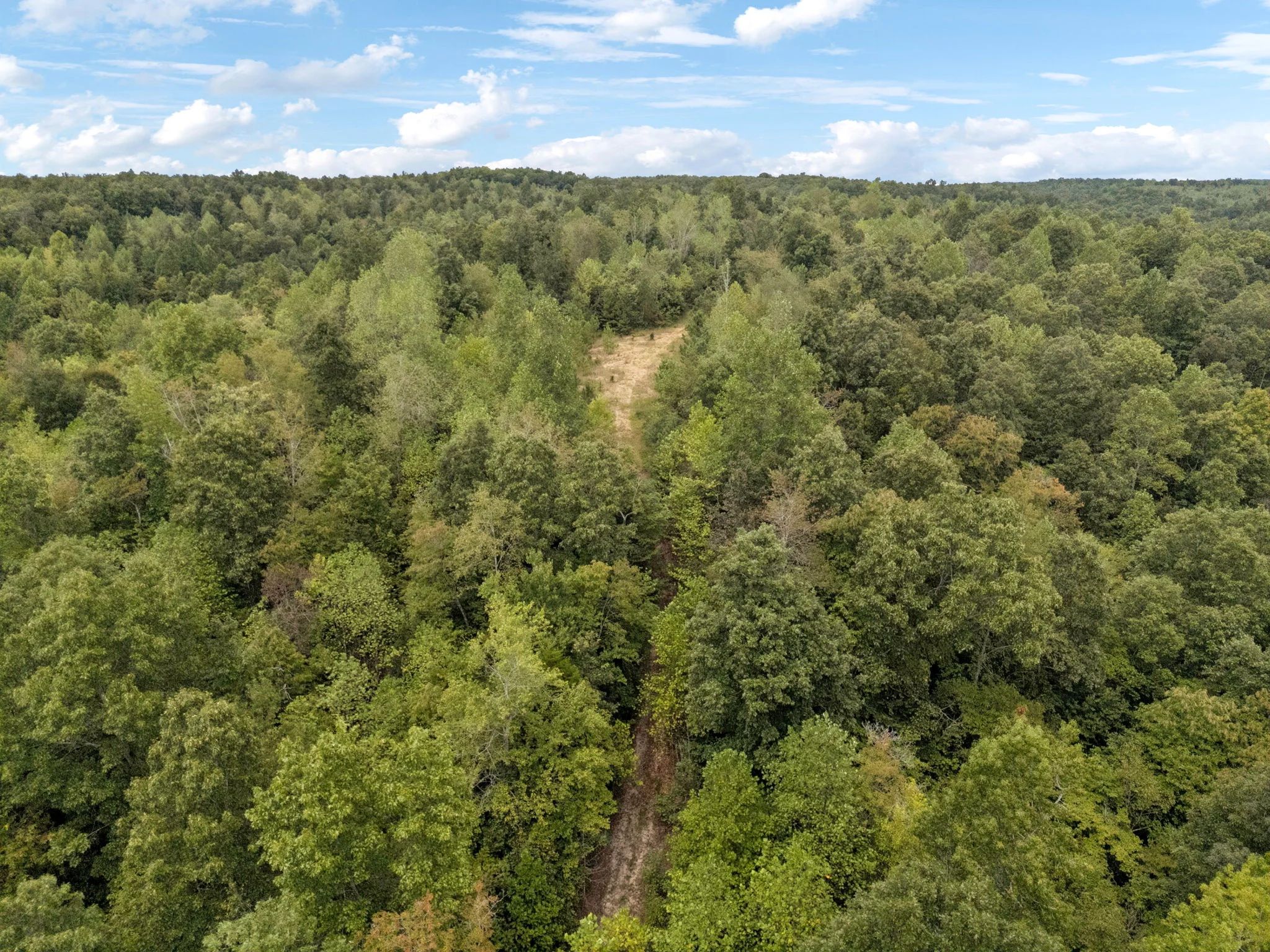 90 Unrestricted Hunting/Recreational Acres 1.25 Hours From Nashville in Maury County, TN