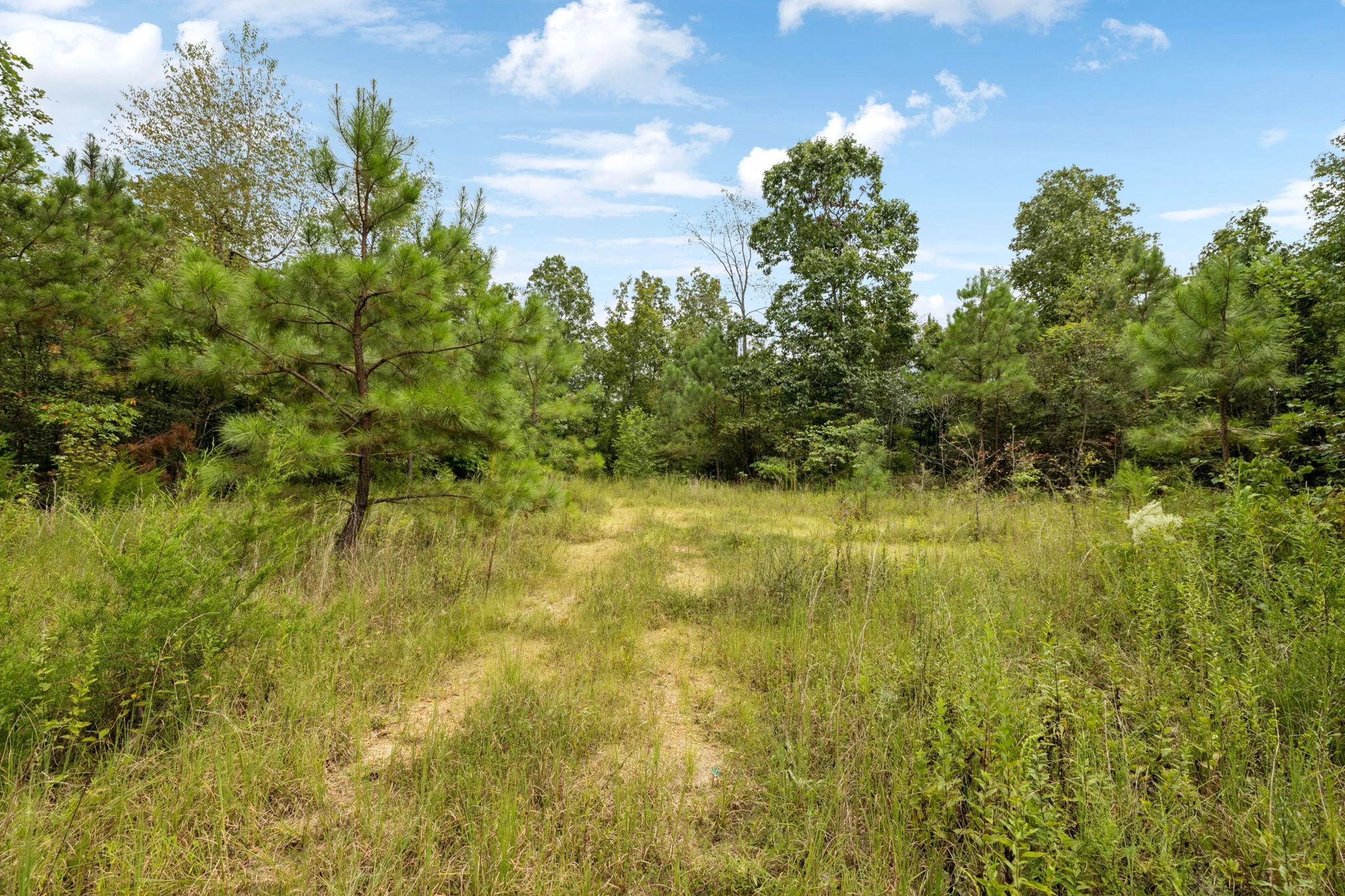 90 Unrestricted Hunting/Recreational Acres 1.25 Hours From Nashville in Maury County, TN