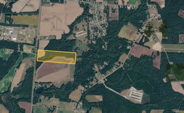 32.2 Acres of Off-Grid Paradise Vacant Land in Dudley NC in Wayne County, NC