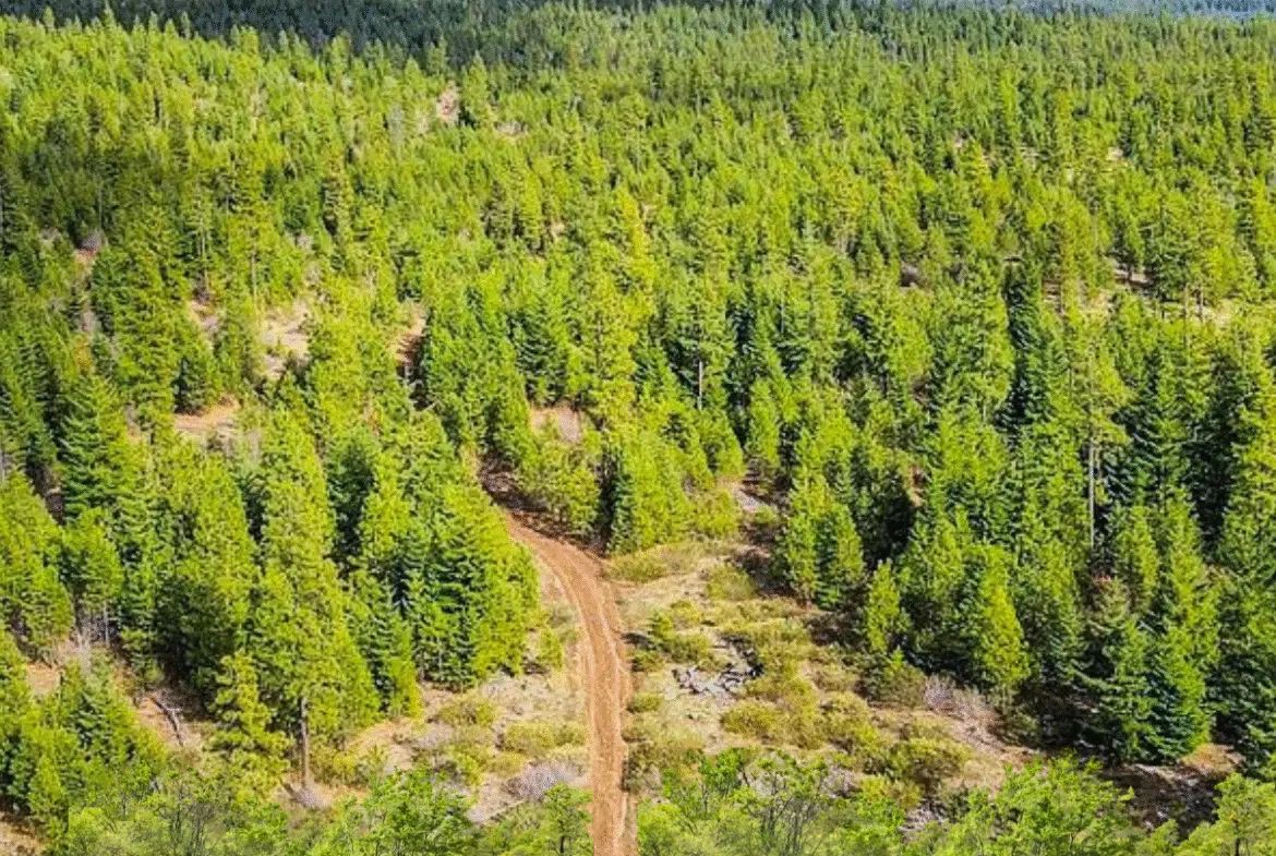 0.92 Acres for Sale in Likely, CA in Modoc County, CA