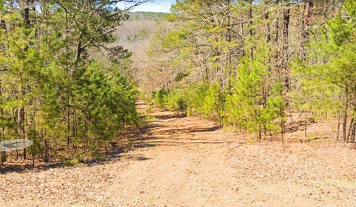 0.24-Acre Lot in a Prime Location in Fairfield Bay, AR in Cleburne County, AR