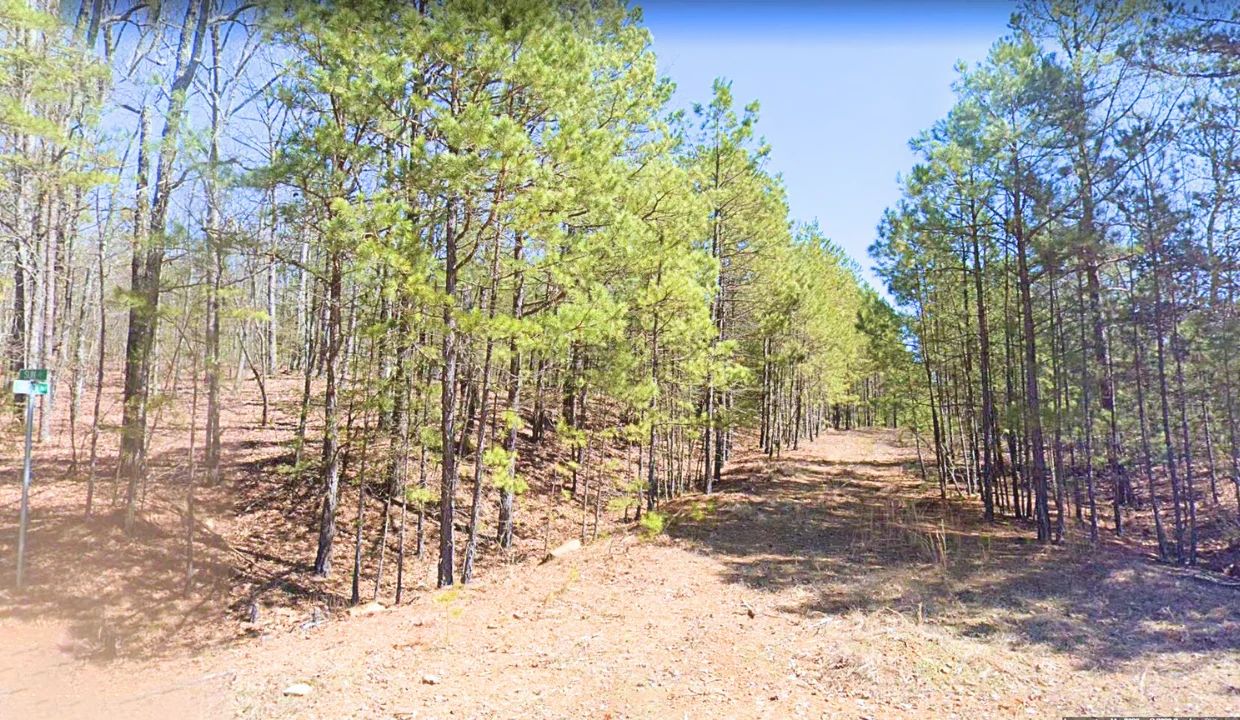0.24-Acre Lot in a Prime Location in Fairfield Bay, AR in Cleburne County, AR