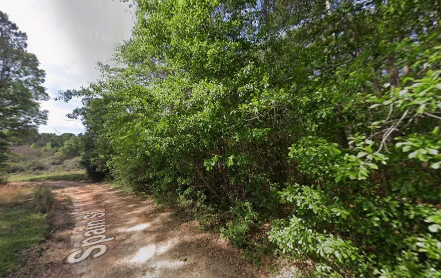 0.28 Acre Wooded Lot Near Lake! in Pearl River County, MS