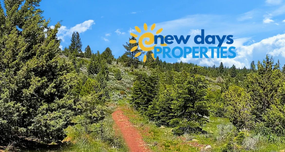 1.84-Acre Wooded Lot for Sale in Alturas, CA in Modoc County, CA