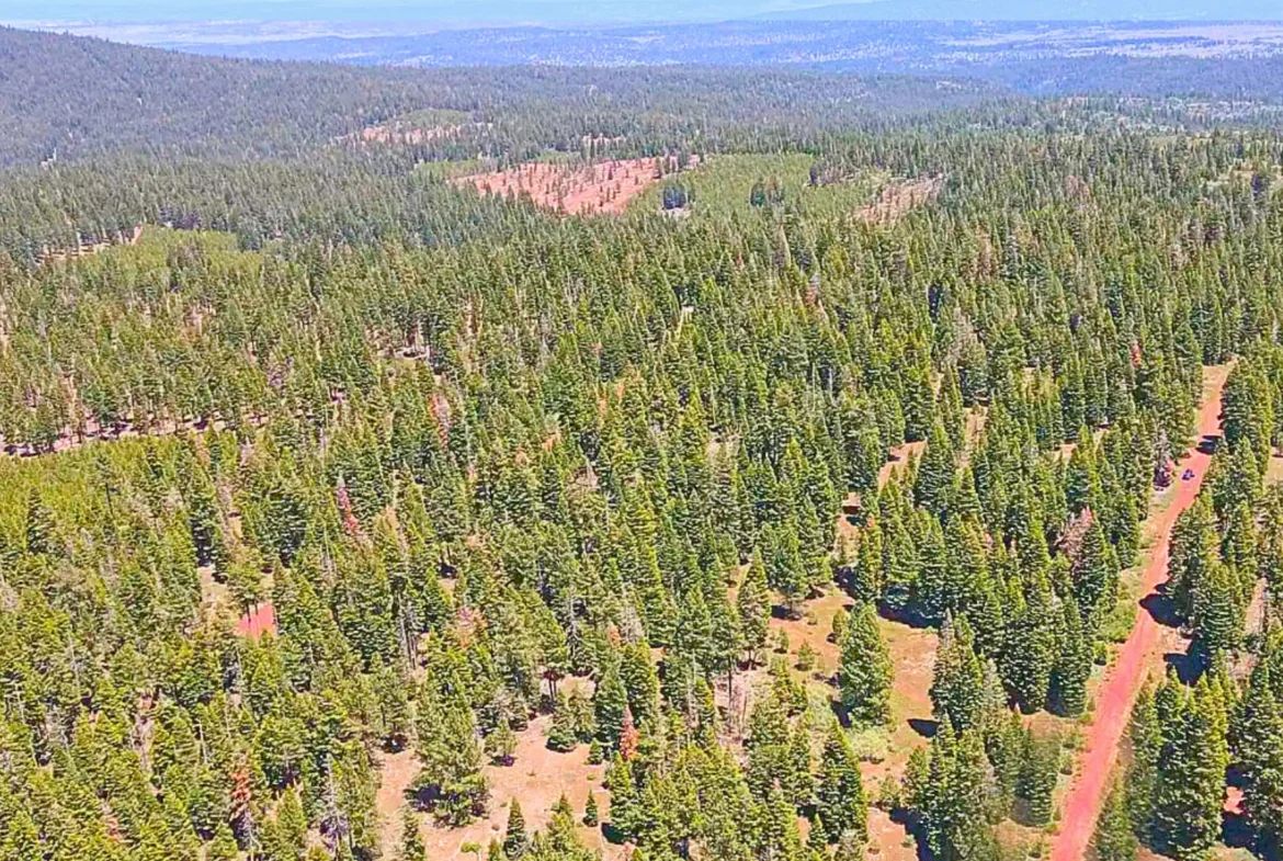 1.84-Acre Wooded Lot for Sale in Alturas, CA in Modoc County, CA