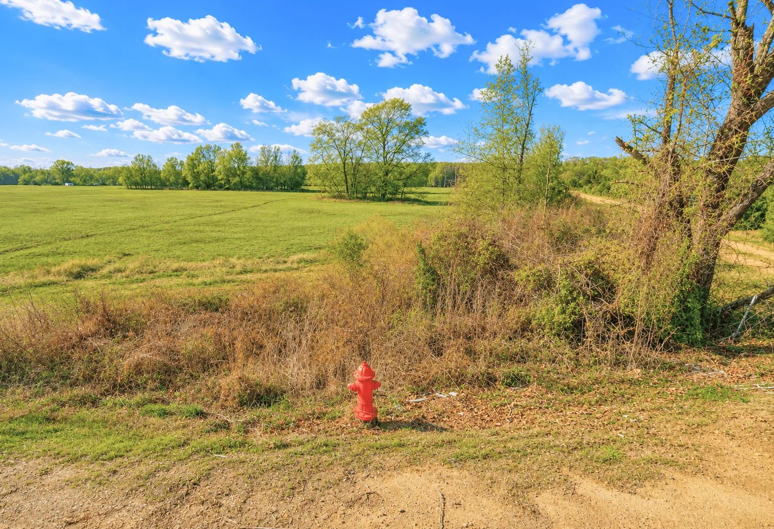 0.25-Acre Corner Lot w/ Utilities! in Leflore County, MS