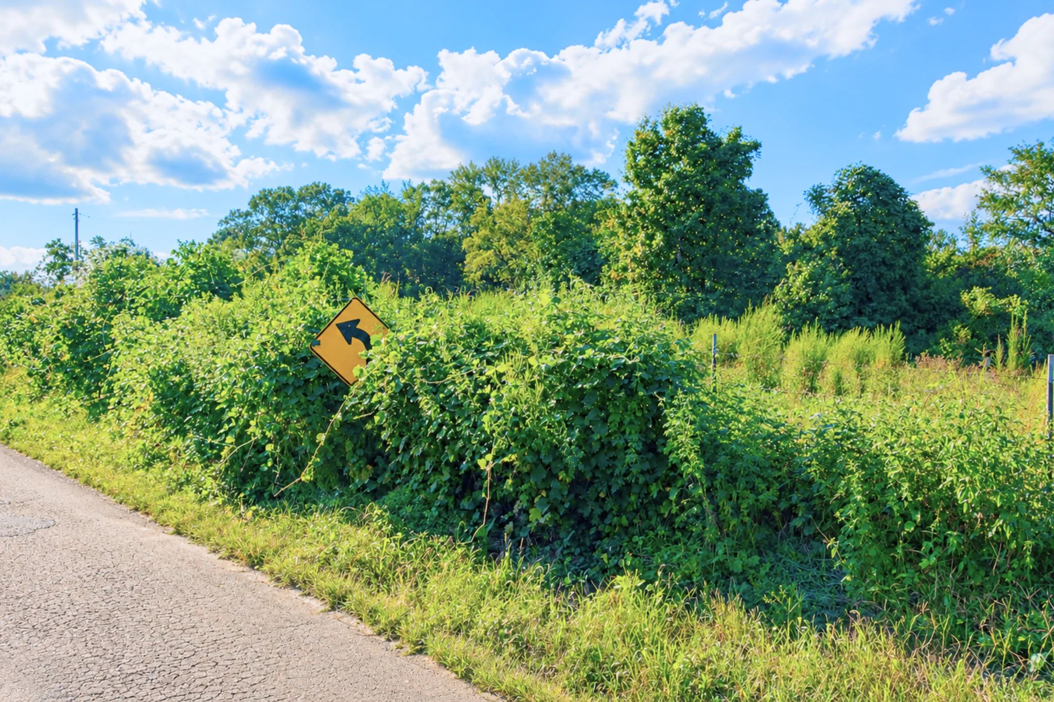 0.10 Acre Unrestricted Lot! in Tallahatchie County, MS