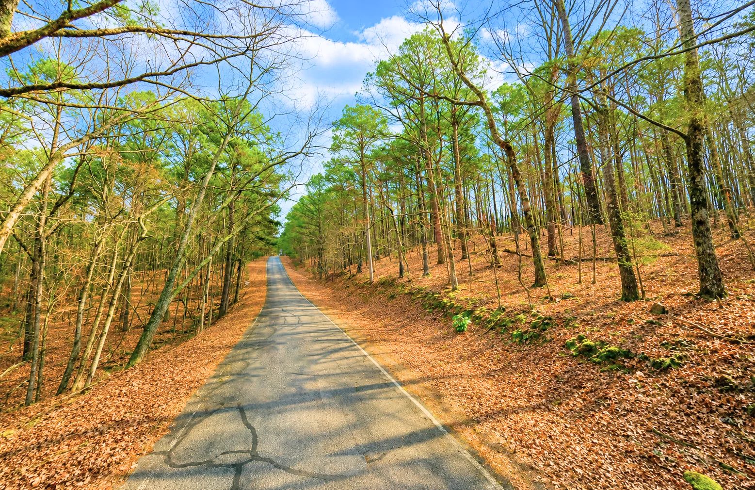 0.33-Acre Land for Sale in Ozarks, Arkansas in Van Buren County, AR