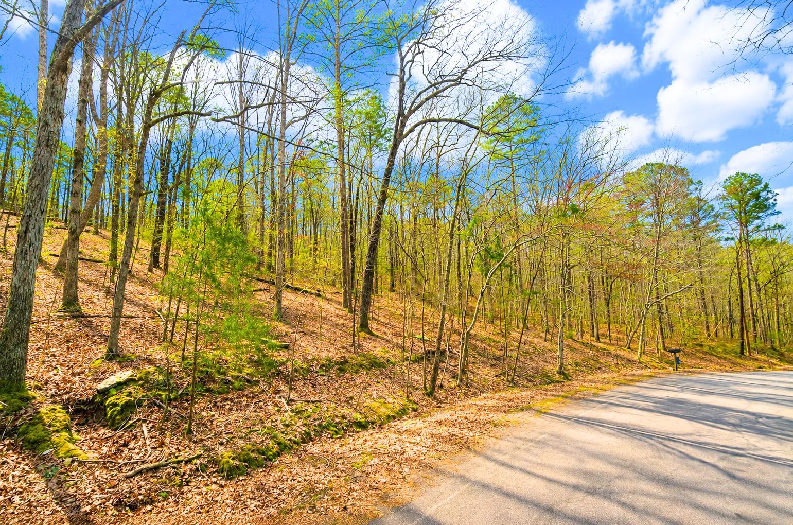 0.33-Acre Land for Sale in Ozarks, Arkansas in Van Buren County, AR
